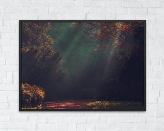 Donker boslandschap print, groene natuur kunst aan de muur, Cottagecore decor, afdrukbare donkere bosrijke poster, digitale download, humeurige boskunst
