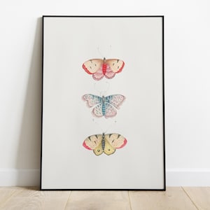 Vintage Butterfly Illustration, Monarch Butterfly Print, Boho Nursery Decor, Printable Wall Art, Digital Nature Poster, Colorful Insect Art
