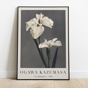 Ogawa Kazumasa Print, Iris Kæmpferi, Printable Floral Wall Art, Famous Japanese Flower Prints, Vintage Exhibition Art Decor Digital Download