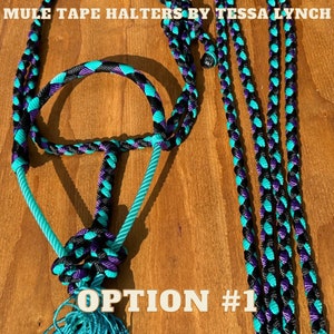 May include: A turquoise, black, and purple braided rope halter with a turquoise tassel. The halter is labeled "OPTION #1".