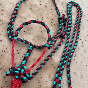 Mule Tape Horse Halter with Rope Noseband
