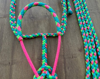 May include: A pink, green, and orange braided rope halter and lead rope set for horses. The halter has a braided rope noseband and throatlatch. The lead rope is a long, braided rope with a knot at the end.