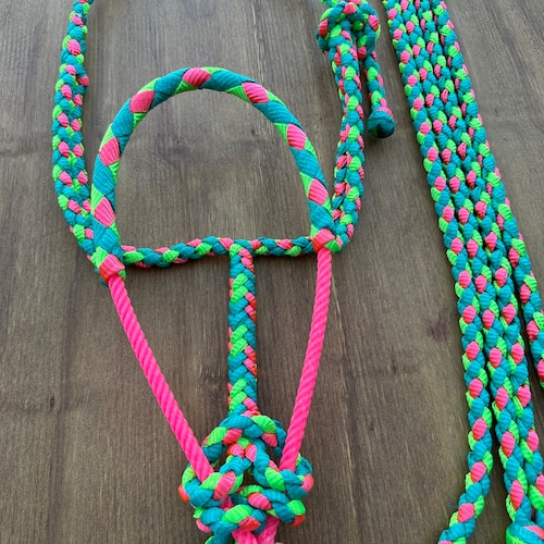 Licol mule ruban rose turquoise et citron vert avec muserolle croisée