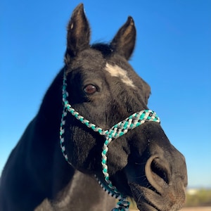 Mule Tape Horse Halter