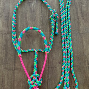 Turquoise Pink and Lime Mule Tape Horse Halter With Rope Noseband - Etsy