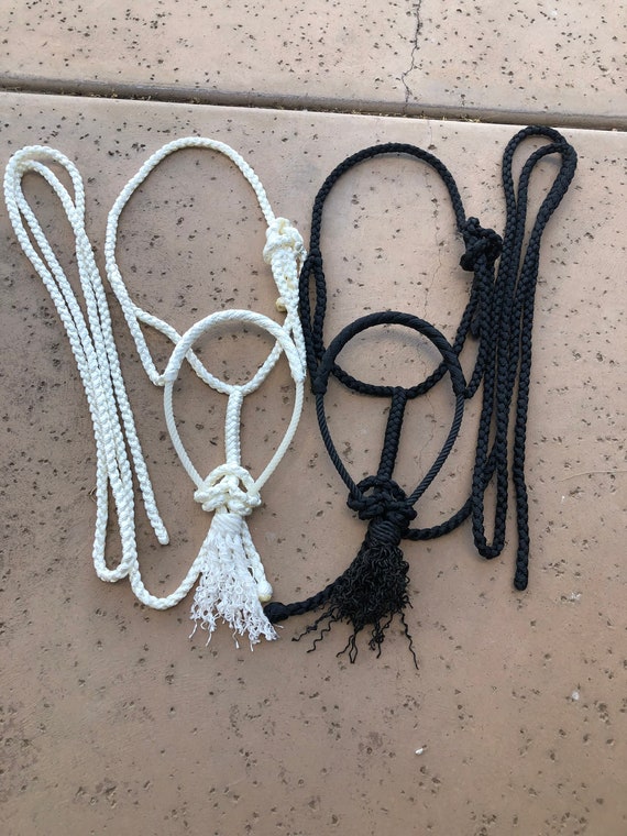 Mule Tape Horse Halter With Rope Noseband Etsy