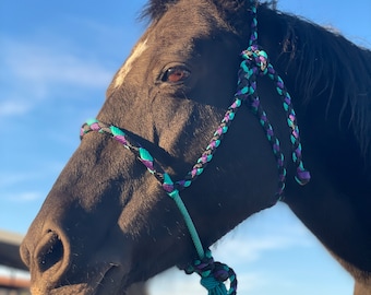 Peut inclure: Un cheval noir portant un licol tressé en corde turquoise, violet et noir. Le cheval regarde sur le côté, la tête légèrement inclinée.