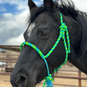 Turquoise and Lime Green Mule Tape Horse Halter