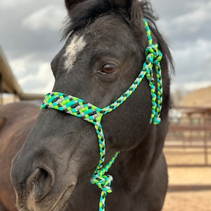 Mule Tape Horse Halter