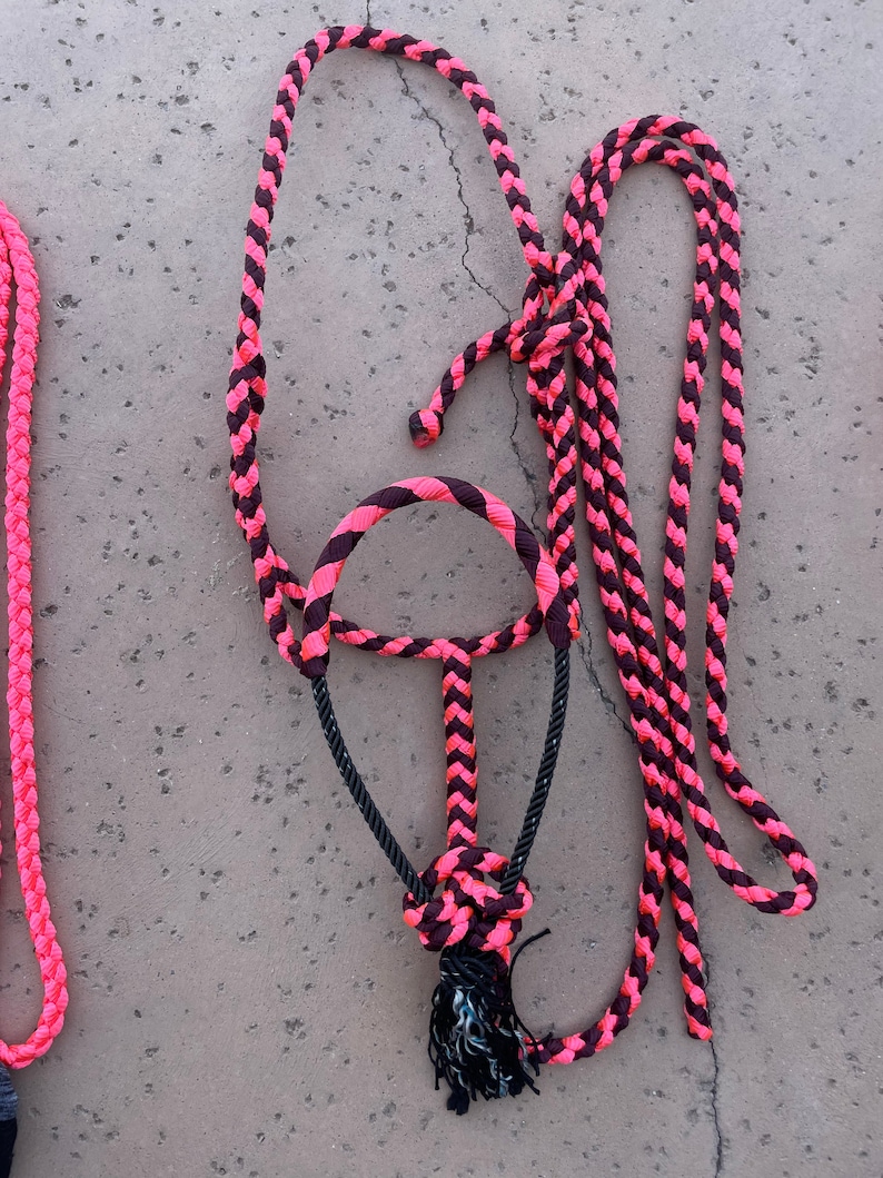 Mule Tape Horse Halter With Rope Noseband - Etsy