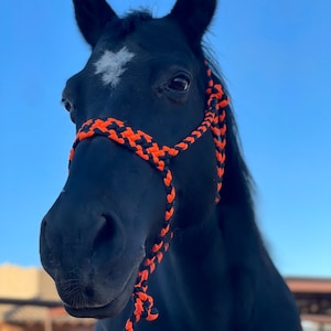 Orange and Black Mule Tape Horse Halter