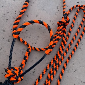 Mule Tape Horse Halter With Rope Noseband - Etsy