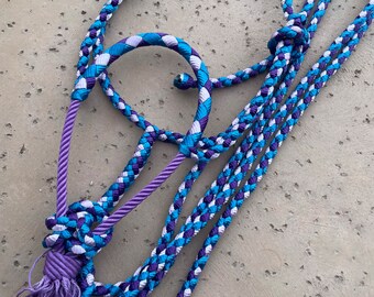 Turquoise Pink and Lime Mule Tape Horse Halter With Rope Noseband - Etsy