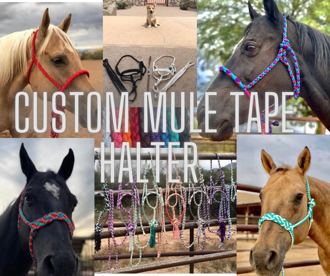 Custom Mule Tape Horse Halter Etsy