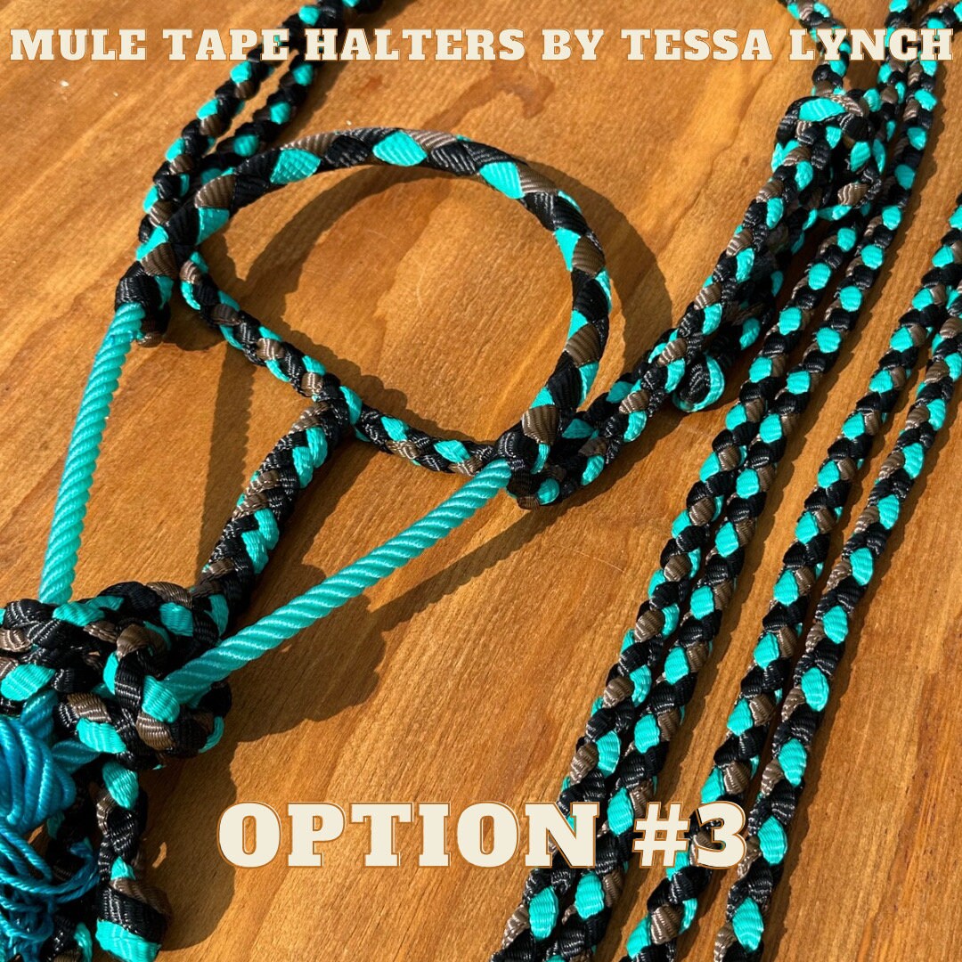 Turquoise Mule Tape Horse Halter With Rope Noseband - Etsy