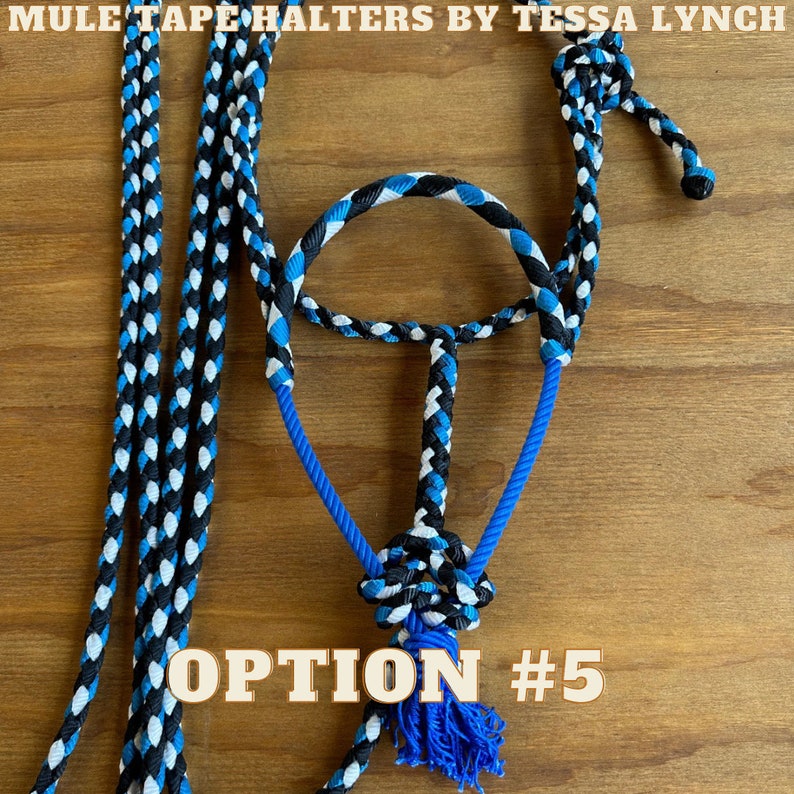 Turquoise Mule Tape Horse Halter With Rope Noseband - Etsy