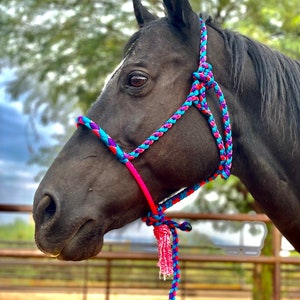 Mule Tape Horse Halter with Rope Noseband