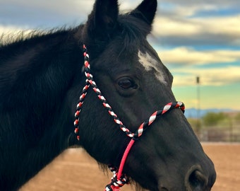 May include: A black horse with a white blaze on its forehead is wearing a pink, black, and white braided rope halter. The horse is standing in a dirt arena.