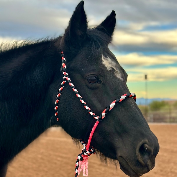 Mule Tape Rope Halter With Bronc Noseband Etsy
