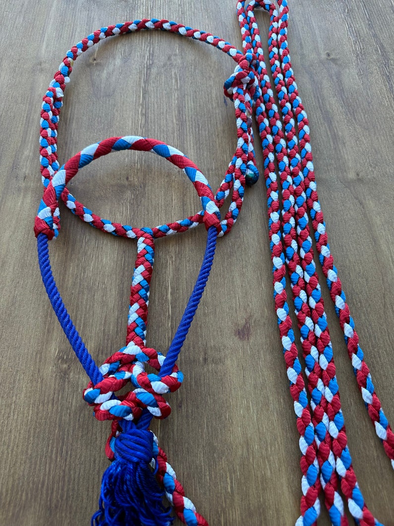 Braided Rope Halter Red White and Blue Mule Tape Horse Halter - Etsy