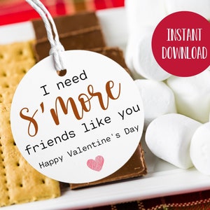 I Need S&#39;more Friends Like You Valentinstag Geschenkanhänger, Schulklassenzimmer Treat Tag, Smores Tags, Smores Favor, Valentine&#39;s Party Favors