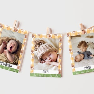 Orange Gingham First Birthday Photo Banner | Milestone Photos | Birthday Milestone | 1st Birthday | Birthday Banner | Milestone Card | A112