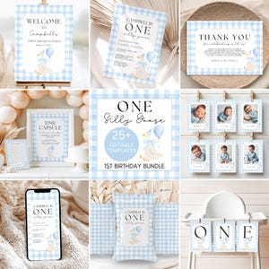 One Silly Goose Birthday Bundle, Silly Goose Birthday, First Birthday, Silly Goose Invite, 1st Birthday Invite, Editable Template, A161
