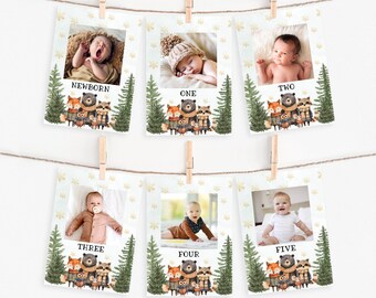Szablon baneru urodzinowego Winter Onederland, natychmiastowe pobranie, urodziny w lesie, baner na pierwsze urodziny, A119