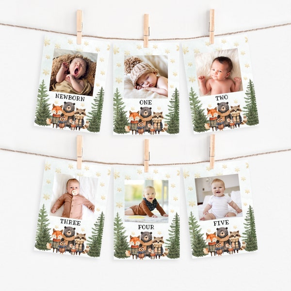 Winter Onederland Birthday Photo Banner Template | Instant Download | Woodland Birthday | 1st Birthday Banner | A119