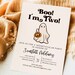 Halloween Birthday Party Invitation, Boo I'm Two Birthday, Costume ...