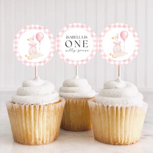 One Silly Goose Cupcake Toppers, Silly Goose Birthday, Silly Goose Decor, Silly Goose Party, Goose Cupcake Topper, First Birthday, A161