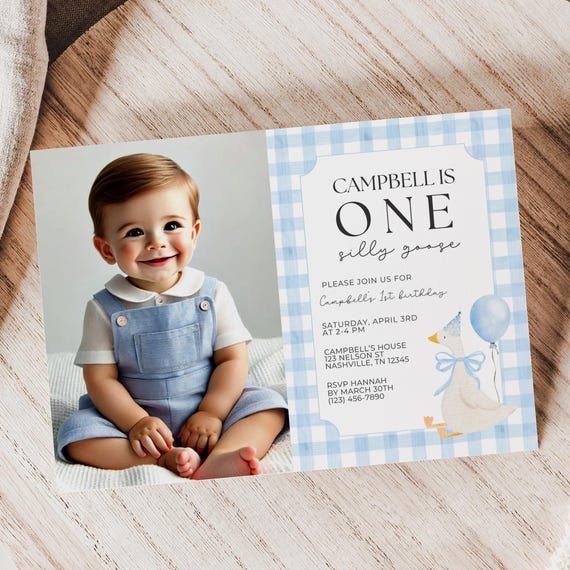 One Silly Goose Birthday Invitation, Silly Goose Birthday, First Birthday, Silly Goose Invite, 1st Birthday Invite, Editable Template, A161