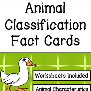 Homeschool Wetenschap Dierenclassificatie en -karakteristieken Werkbladen 1e-3e leerjaar
