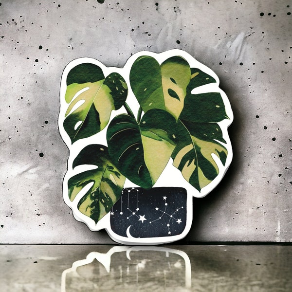 Monstera Albo, Plant Stickers, Witchy Stickers, Mothers Day Gift, Plant Mom Gift, Plant Lover Gift