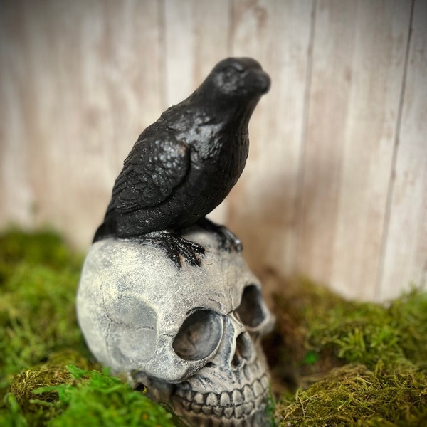 Raven on Skull Statue, Cast Stone Raven Statue, Cast Stone Skull, Concrete Raven, Concrete Skull, 8 x 6.5 x 4 inches