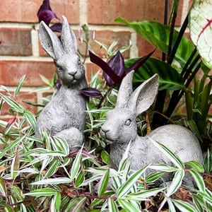 Concrete Rabbits, English Hares, Rabbit Statues, Available Individually or Specially Priced as a Set, 7.25" x 3" standing / 5" x 5" sitting