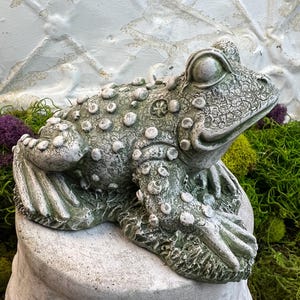 Warty Frog, Toad, Little Frog Prince, Frog Statue, Concrete, Stone Frog, Frog Figurine, 5 x 3.5 x 3.5 inches, 1 1/2 pounds, Ready to Ship