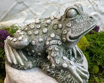 Warty Frog, Toad, Little Frog Prince, Frog Statue, Concrete, Stone Frog, Frog Figurine, 5 x 3.5 x 3.5 inches, 1 1/2 pounds, Ready to Ship