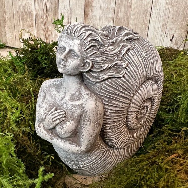 Cast Stone Mermaid , Concrete Nautilus, Amonite Shaped Shell Mermaid Statue, Mermaid Statue, 5 x 5 x 2.25 inches