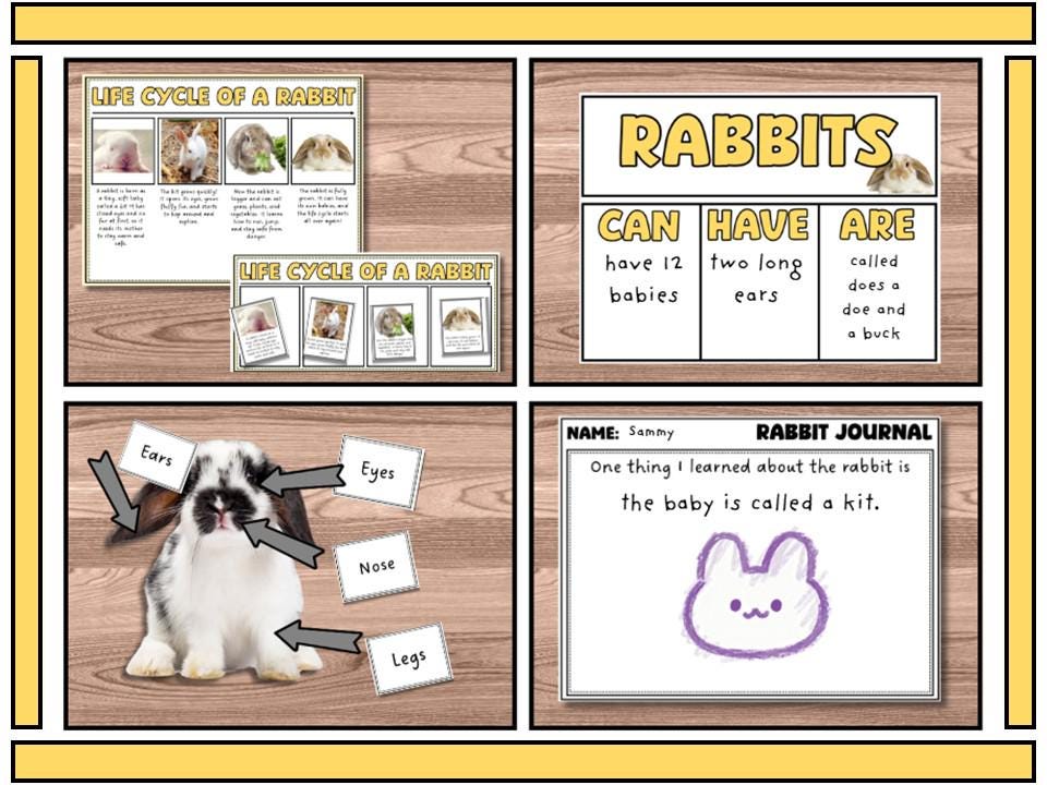 Rabbet Science Rabbit Science Unit Bundle | Life Cycle, Parts, Activities & Centers - Etsy