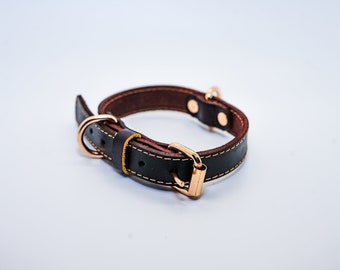 Gold Buckle leather Dog Collar