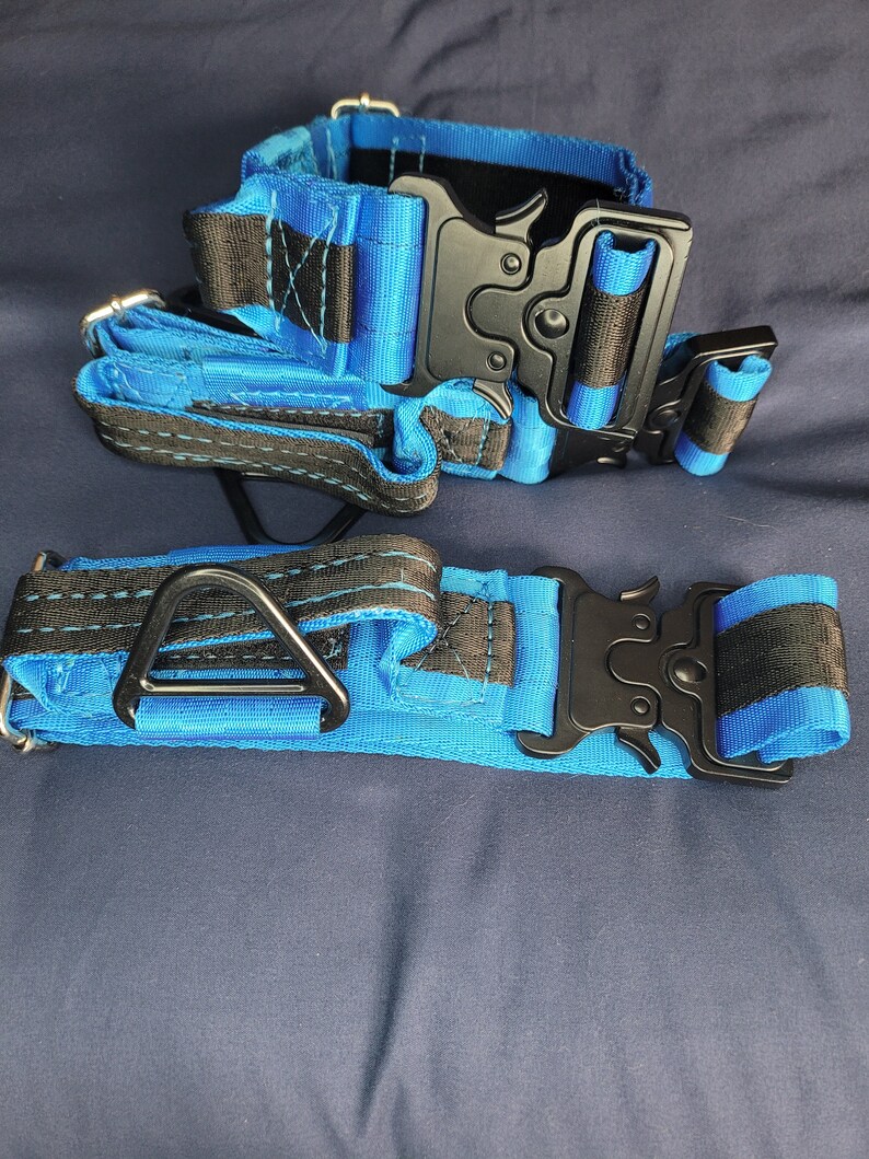 Tactical Dog Collar With Cobra Buckle Etsy