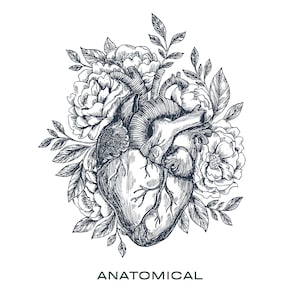 Heart Anatomy Art, Digital Download, Anatomy Poster, Neutral Wall Art, Anatomical Heart, Vintage Medical Print