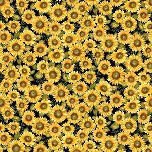 Sunflowers, Chicken Shack by Jan Mott for Henry Glass & Co, Barnyard Chickens, Country Theme, 3313-99 Black, 1/2 Yard Increments, New