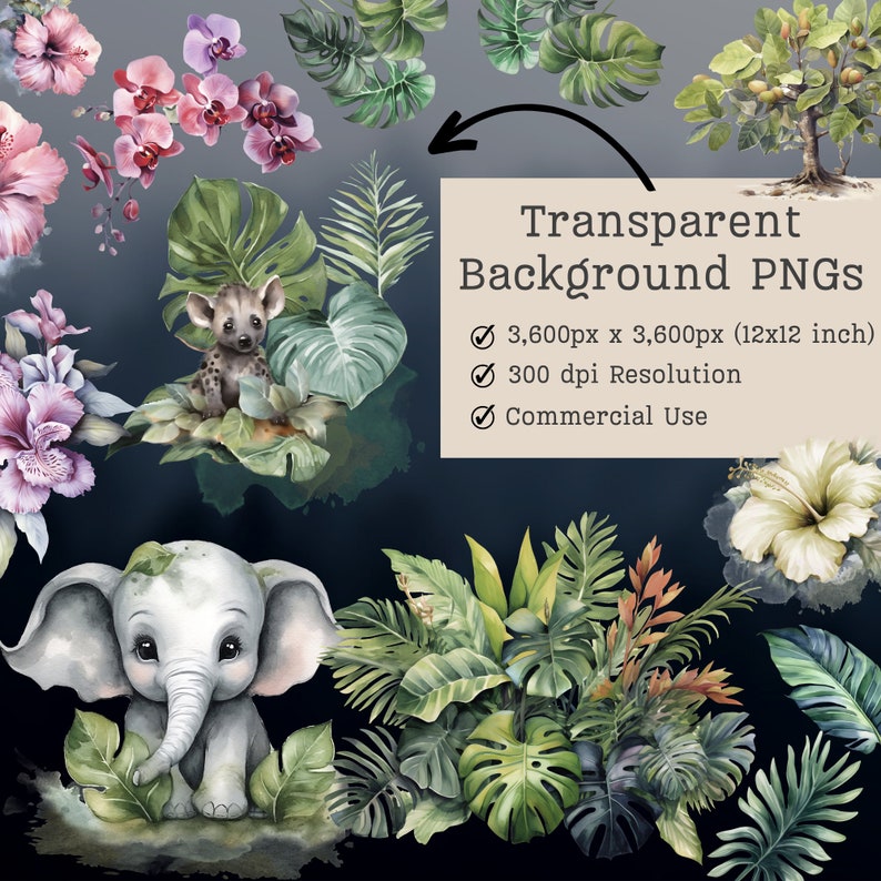 May include: A set of digital illustrations featuring a grey elephant, a hyena, tropical plants, and flowers. The illustrations are on a transparent background and are 3,600 pixels by 3,600 pixels (12x12 inches) at 300 dpi resolution.