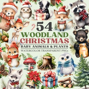 Clipart di Natale nel bosco, set di clipart acquerello di cuccioli di animali Png, simpatici animali della foresta, volpe, gufo, cervo, PNG trasparenti, uso commerciale