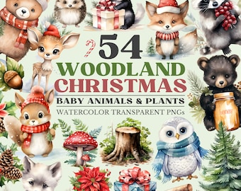 Woodland Christmas Clipart, Baby Animals Png Watercolor Clipart Set, Cute Forest Animals, Fox, Owl, Deer, Transparent PNGs, Commercial Use