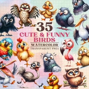 Lindo pájaro clipart, pájaros divertidos, acuarela clipart conjunto de 35 png transparente, scrapbooking, descarga digital de diario basura, uso comercial