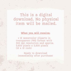 Op de afbeelding: Tekst op een roze achtergrond die luidt: "Dit is een digitale download. Er wordt geen fysiek item verzonden. Wat je ontvangt: &bull; 12 aquarel-clipart in transparant PNG-formaat met 300 dpi resolutie en ongeveer 3.600 pixels x 3.600 pixels (12 x 12 inch) Klaar om te downloaden direct na aankoop!"