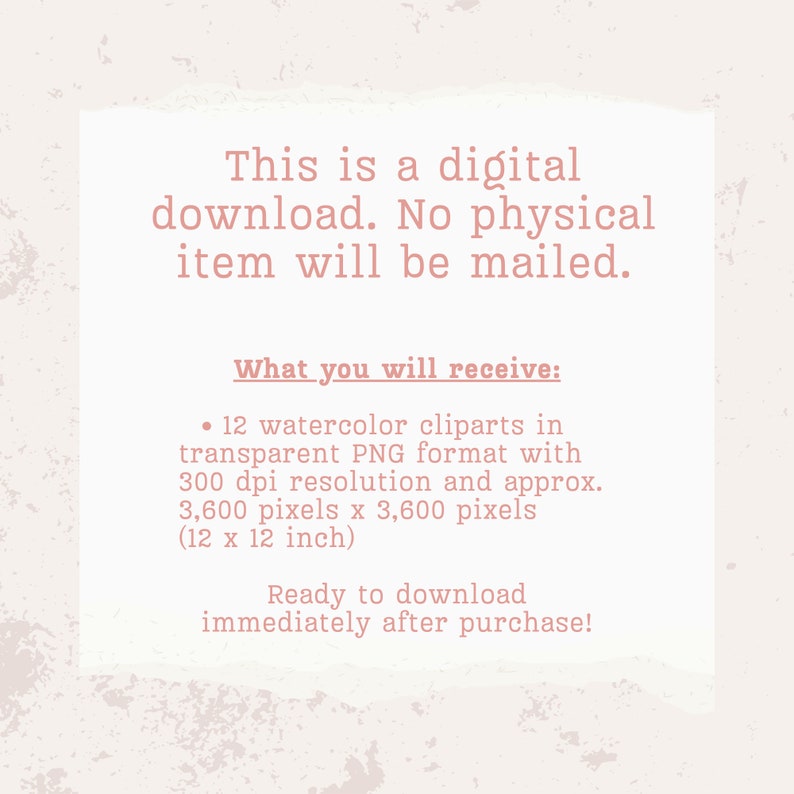 Op de afbeelding: Tekst op een roze achtergrond die luidt: "Dit is een digitale download. Er wordt geen fysiek item verzonden. Wat je ontvangt: &bull; 12 aquarel-clipart in transparant PNG-formaat met 300 dpi resolutie en ongeveer 3.600 pixels x 3.600 pixels (12 x 12 inch) Klaar om te downloaden direct na aankoop!"